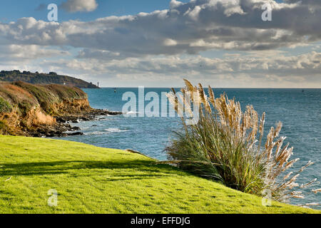 St. Mawes auf der Suche nach St. Antony Cornwall; UK Stockfoto
