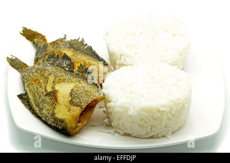 Frittierte "Salid" Fisch, Snake Skin Gurami (Trichogaster Pectoralis) mit gedünstetem Reis Stockfoto