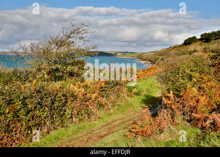 Küstenweg in der Nähe von St Mawes St nur in Roseland Cornwall; UK Stockfoto