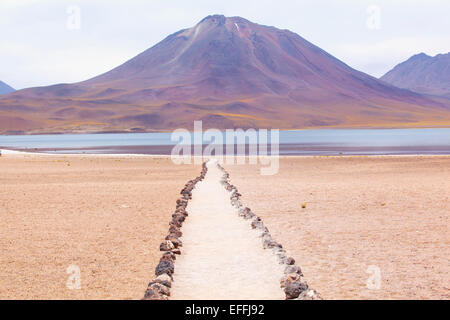 Weg zur Miscanti Lagune. Region de Antofagasta, Chile. Stockfoto