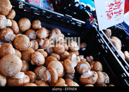 Braune essbaren Champignons Gruppe im Korb mit Preis angezeigt. Stockfoto