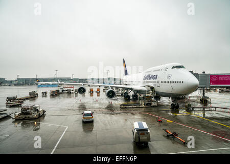 Lufthansa Boeing 747-400 Flugzeuge am Flughafen Frankfurt Am Main Stockfoto