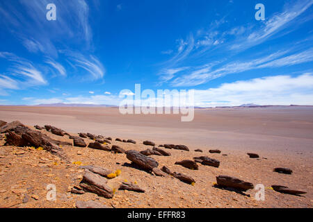 Plateau-Landschaft. In der Nähe von Salar de Tara. Region de Antofagasta, Chile. Stockfoto