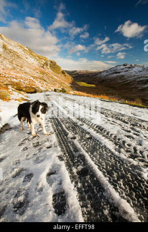 Reifenspuren auf dem Wrynose-Pass die geschlossen wurde, durch Schnee und Eis, Lake District, Großbritannien Stockfoto