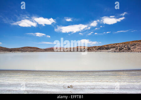 Laguna Escondida. In der Nähe von Salar de Tara. Region de Antofagasta, Chile. Stockfoto