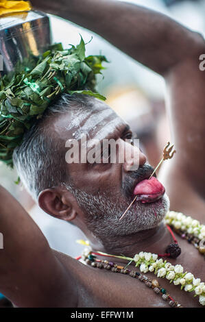 Hindu Mann mit einem Holzstäbchen durch seine Zunge am Thaipusam 2015 bei Batu Caves, Malaysia Stockfoto