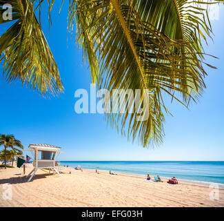 Palmen am Strand in Fort Lauderdale, Strand Fort Lauderdale, Florida mit Strandwache und Menschen, die zum Sonnenbaden Stockfoto