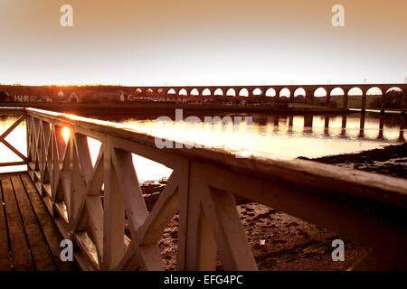 Royal-Grenze-Brücke über den Fluss Tweed, Berwick, aus dem Ruderverein Stockfoto