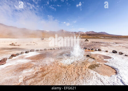 Bei El Tatio Geysire, Chile, Südamerika Stockfoto