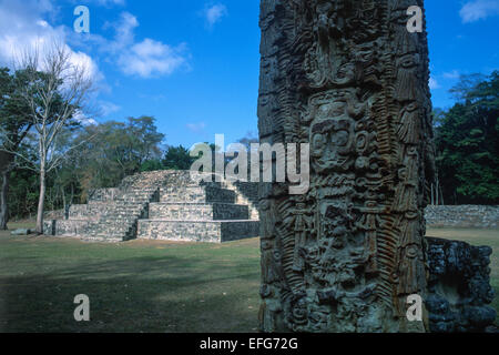 Der zentrale Platz. Copan Maya-Ruinen. Honduras. Stockfoto