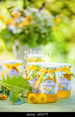 Gläser mit Blume Löwenzahn Gelee im Garten Stockfoto