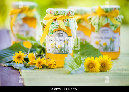 Gläser mit Blume Löwenzahn Gelee im Garten Stockfoto