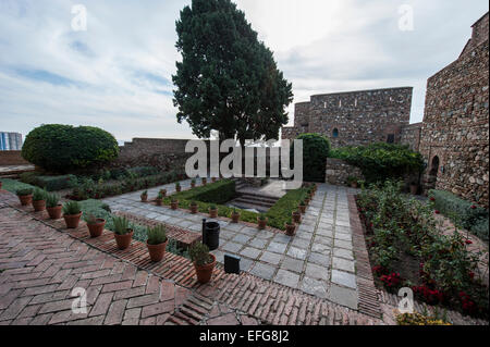 Gärten der Alcazaba von Málaga, Andalusien, Spanien. Stockfoto