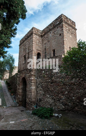 Alcazaba von Málaga (Alcazaba de Málaga), eine prunkvolle Festung in Málaga, Andalusien, Spanien. Stockfoto