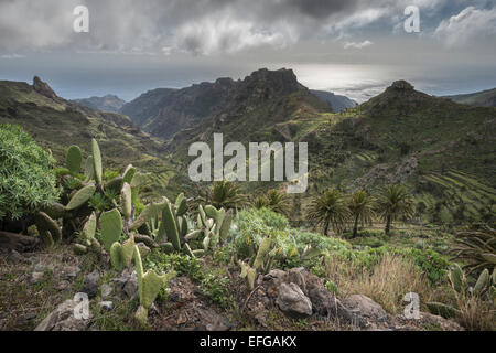 Terrassenförmig angelegten Berghänge La Gomera Kanarische Inseln Spanien westafrikanischen Küste tropisches Paradies Stockfoto