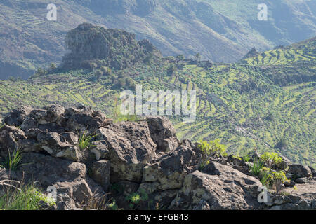 Terrassenförmig angelegten Berghänge La Gomera Kanarische Inseln Spanien westafrikanischen Küste tropisches Paradies Stockfoto