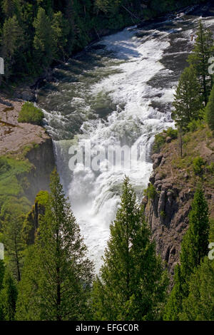 Lower Mesa Falls befindet sich auf der Henrys Fork in Fremont County, Idaho, USA. Stockfoto