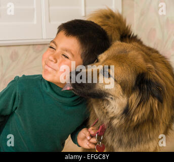 Jungen mexikanischen Erbe 6-7-8 Jahr Jahre alt Kind spielen Hund Grimassen Shepherd-Chow mix Hund leckt lecken Gesicht Seite Profil ansehen Nahaufnahme HERR © Myrleen Pearson Stockfoto