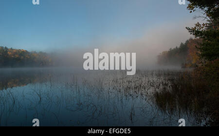 Nebel rollt rund um einen See den ganzen Vormittag. Stockfoto