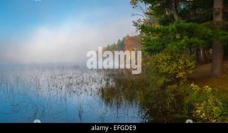 Nebel rollt rund um einen See den ganzen Vormittag. Stockfoto