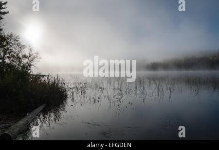 Nebel rollt rund um einen See den ganzen Vormittag. Stockfoto