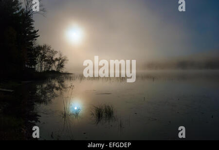 Nebel rollt rund um einen See den ganzen Vormittag. Stockfoto