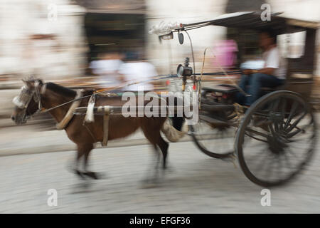 Pferdekutsche Kutsche in die historische Stadt Vigan, Philippinen. Stockfoto