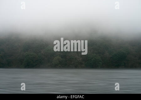 Bäume im Nebel und seidige Wasser am Ashinoko-See, Präfektur Kanagawa, Japan Stockfoto