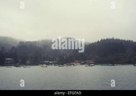 Bootsverleih auf dem Wasser und die Berge im Hintergrund am Ashinoko-See, Präfektur Kanagawa, Japan Stockfoto