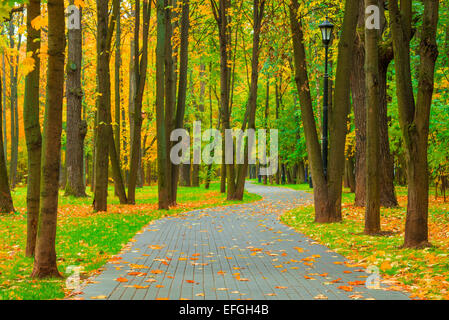 Park mit Laubbäumen entfernt im Herbst im Oktober Stockfoto