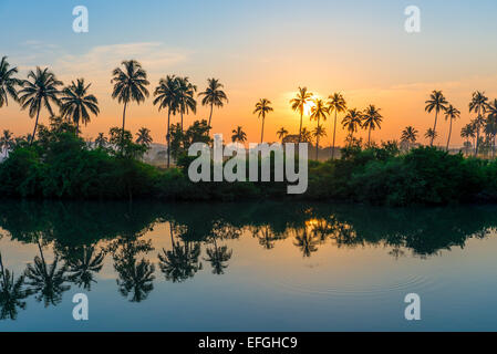 Reihen von Palmen spiegelt sich in einem See in der Dämmerung Stockfoto