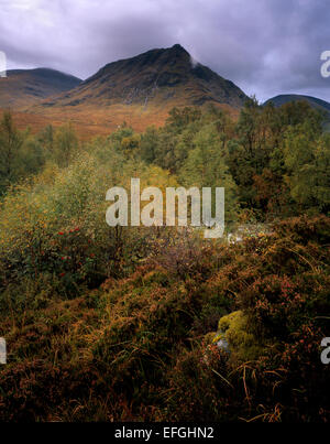 SRON Na betrachtet Creise Birke Wald und Heide auf Rannoch Moor im frühen Herbst Farbe, Lochaber, Schottisches Hochland. Stockfoto