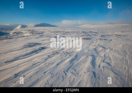 Fjell in Winter, verschneite Landschaft, Dovrefjell-Sunndalsfjella-Nationalpark, Norwegen Stockfoto