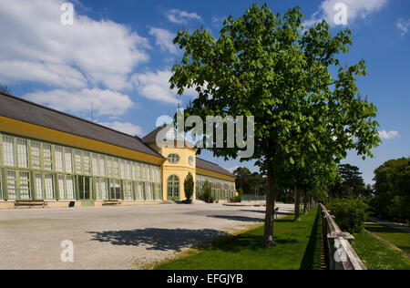 Orangerie auf dem Gelände des Schloss Esterhazy Palace, Eisenstadt, Burgenland, Österreich Stockfoto