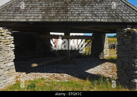 Alten Pferd gezeichneten Mühle auf einem Bauernhof, der eine Dreschmaschine zieht. Langhammars, Fårö Stockfoto