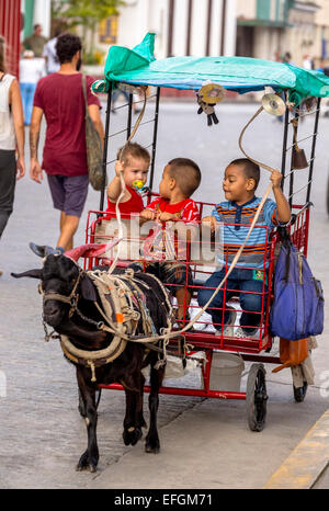 Kinder in der Kutsche, gezogen von einer Ziege im Parque de Santa Clara, Santa Clara, Kuba Stockfoto