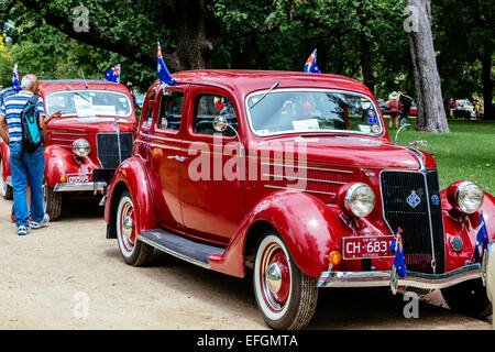 Oldtimer auf Display, RACV Australia Day Picknick und Föderation Fahrzeug anzeigen, Kings Domain, Melbourne, Victoria, Australien Stockfoto