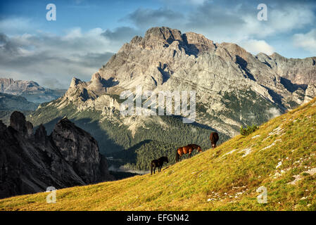 Italien, Dolomiten - wunderbare Landschaften, Pferde grasen in der Nähe von den kargen Felsen Stockfoto