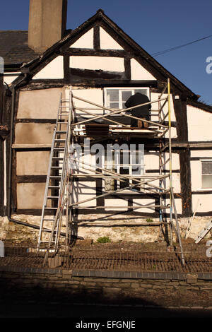 Wartungsarbeiten an einer alten mittelalterlichen gerahmte Holzhaus im Pembridge Herefordshire England UK Stockfoto