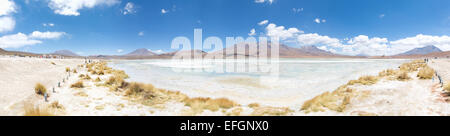 Am Laguna Hedionda Uyuni Wüste, Altiplano, Bolivien, Südamerika Stockfoto