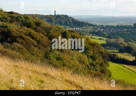 Herbstfarben auf Dursley Woods mit Tyndale Denkmal Stockfoto