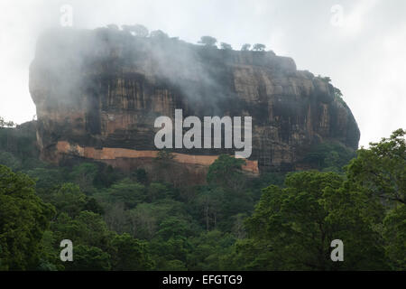 Lion Rock an einem nebligen Morgen in feuchte Regenzeit, Sigiriya, Sri Lanka, Rock, Unesco, Höhle, Kunst, Fresko, Löwe, Rock, riesige Stockfoto