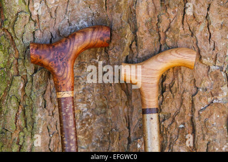 Traditionelle Handarbeit Walking Stöcke mit burr Elm und Eichenholz derby Griffe Stockfoto