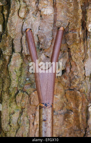 Traditionelle Handarbeit aus Holz Spazierstock mit Churchill thumbstick Griff Stockfoto