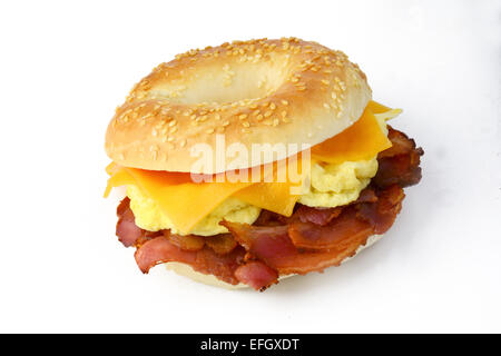 Bagel mit gebratenem Speck, Scrumbled Eiern und Cheddar-Käse. Studio, isoliert Stockfoto