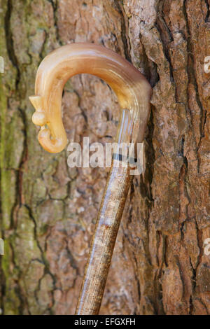 Traditionelle Handarbeit Hazel Wood Hirten crook mit Ram's Horn Griff und geschnitzten Thistle Stockfoto