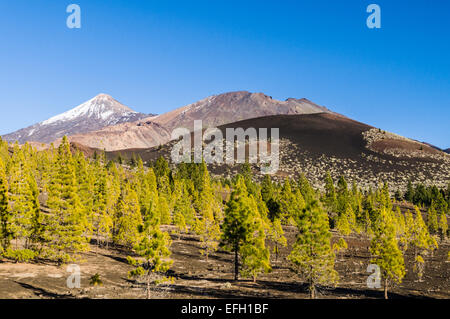 Sehen Sie auf Kamm des Teide, Pico Viejo Vulkane und Samara Mountain, Teneriffa Stockfoto