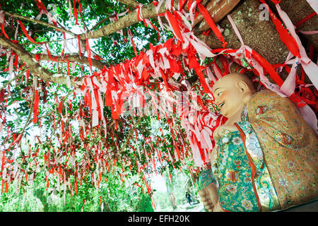 Der berühmte "Liebe Baum" auf Mong Mo Hügel in Da Lat, Vietnam. Paare sind eine Chance, Notizen, Wünsche und Heften Sie es angeboten. Stockfoto