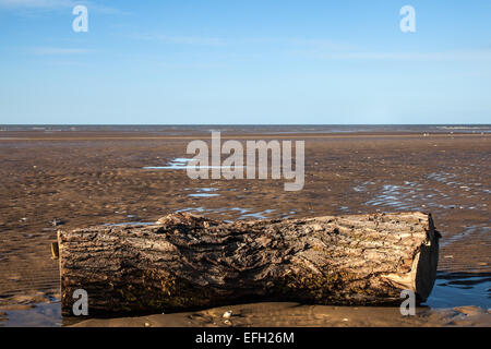 Artikel gewaschen an Land in Southport, Merseyside, Großbritannien, 4. Februar, 2015 UK Wetter. Ainsdale Strand mit schwere Hölzer verunreinigt, die nach den jüngsten Sturmwind aus der Irischen See. Die Strände rund um Merseyside wurden in marine Wurf in der stürmischen Nordwestwinden, die sich über die Küste fegte brachte abgedeckt, die in Zeiten von über 30 Knoten. Während solche Ereignisse sind ein natürliches Vorkommen der 1.7m High Tide mit der starken onshore Wind Verbindung ausserordentlichen Bedingungen große Objekte auf der Küstenlinie zu hinterlegen. Stockfoto