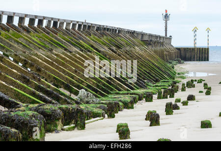 Hölzernen Wellenbrecher an einem Strand von der Mündung auf den Fluss Arun in Littlehampton, West Sussex, England. Stockfoto